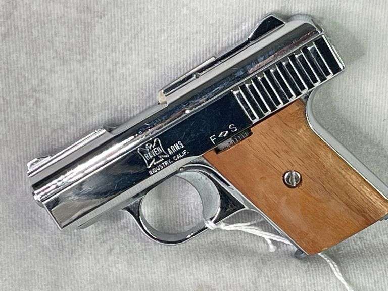 Raven Arms P25 Cal. 25 Auto (SN 538007)