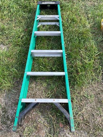 Werner 6 ft. Aluminum ladder