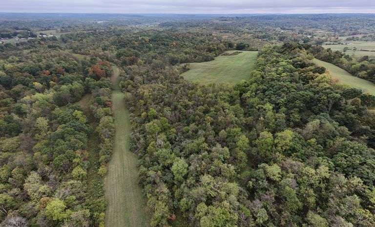 35.2 Acres mostly wooded w/ large open hay field. Great hunting or farming