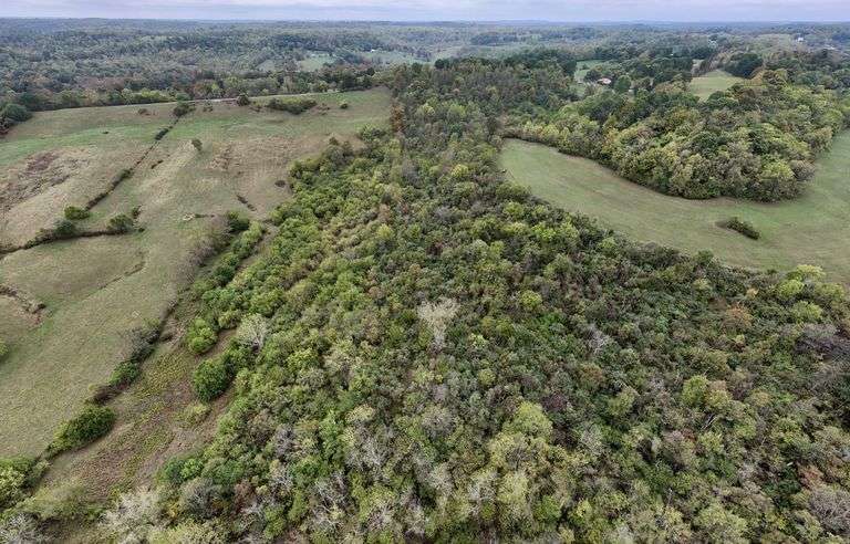 12.2 +/- Acres Mostly Wooded Great Hunting Tract