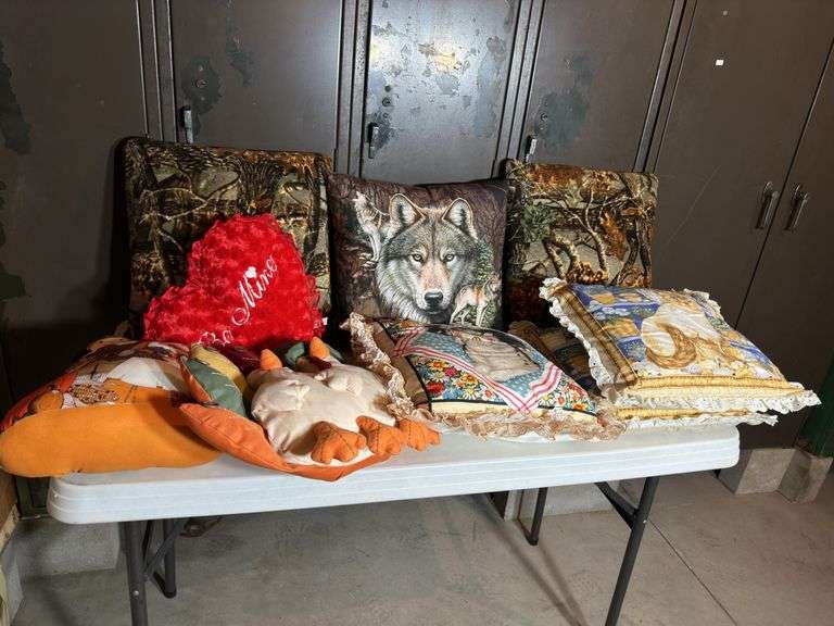 Various Pillows and Cushions.