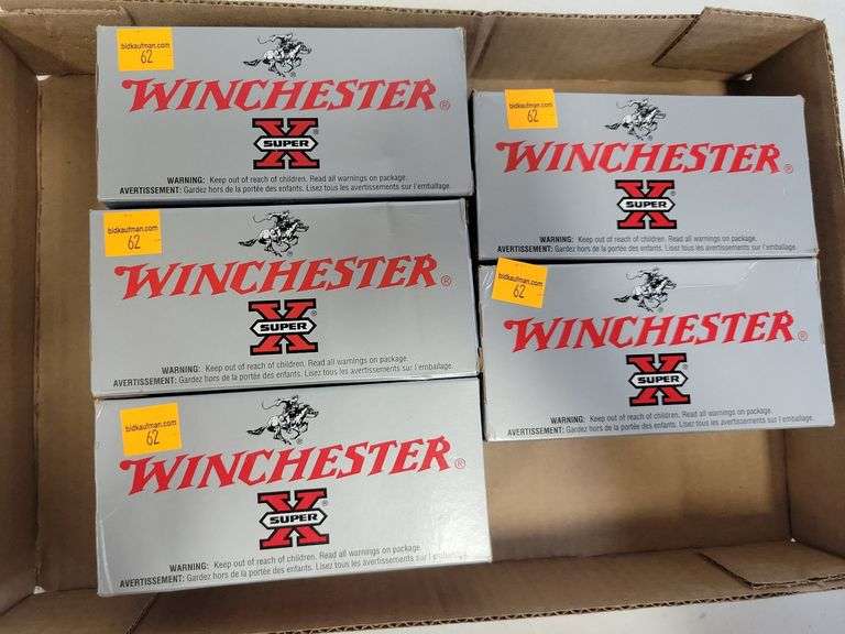 (5) Winchester Power-Point .22 LR - 40 Grain