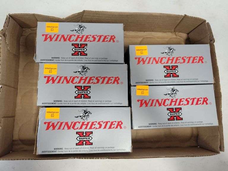 (5) Winchester Power-Point .22 LR - 40 Grain