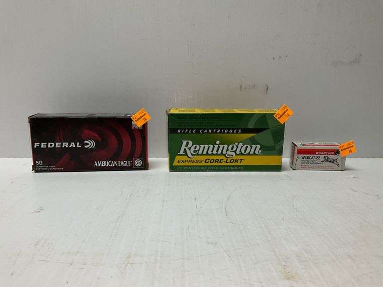 Wildcat .22 Ammo, Remington 243 WIN Ammo, and Federal 380 Auto Ammo