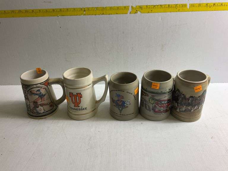 5 Beer Steins