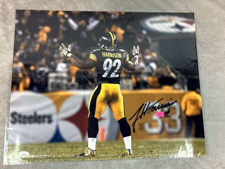James Harrison Pittsburg Steelers signed color 16X20, action , JSA