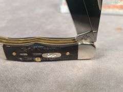 2020 CASE XX BUFFALO HORN POCKET HUNTER