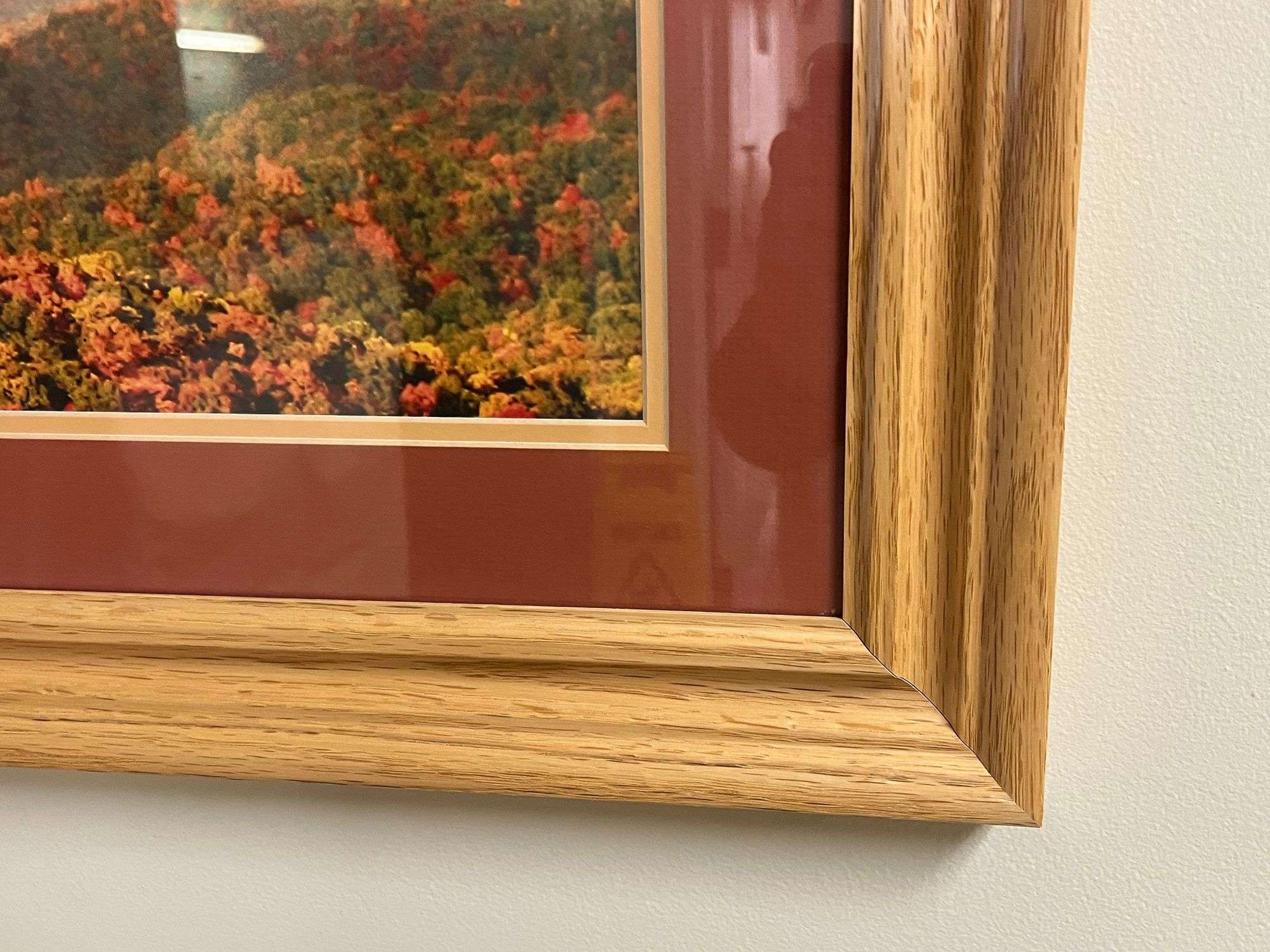 Oak Rainbow Print by Jerry Pastine