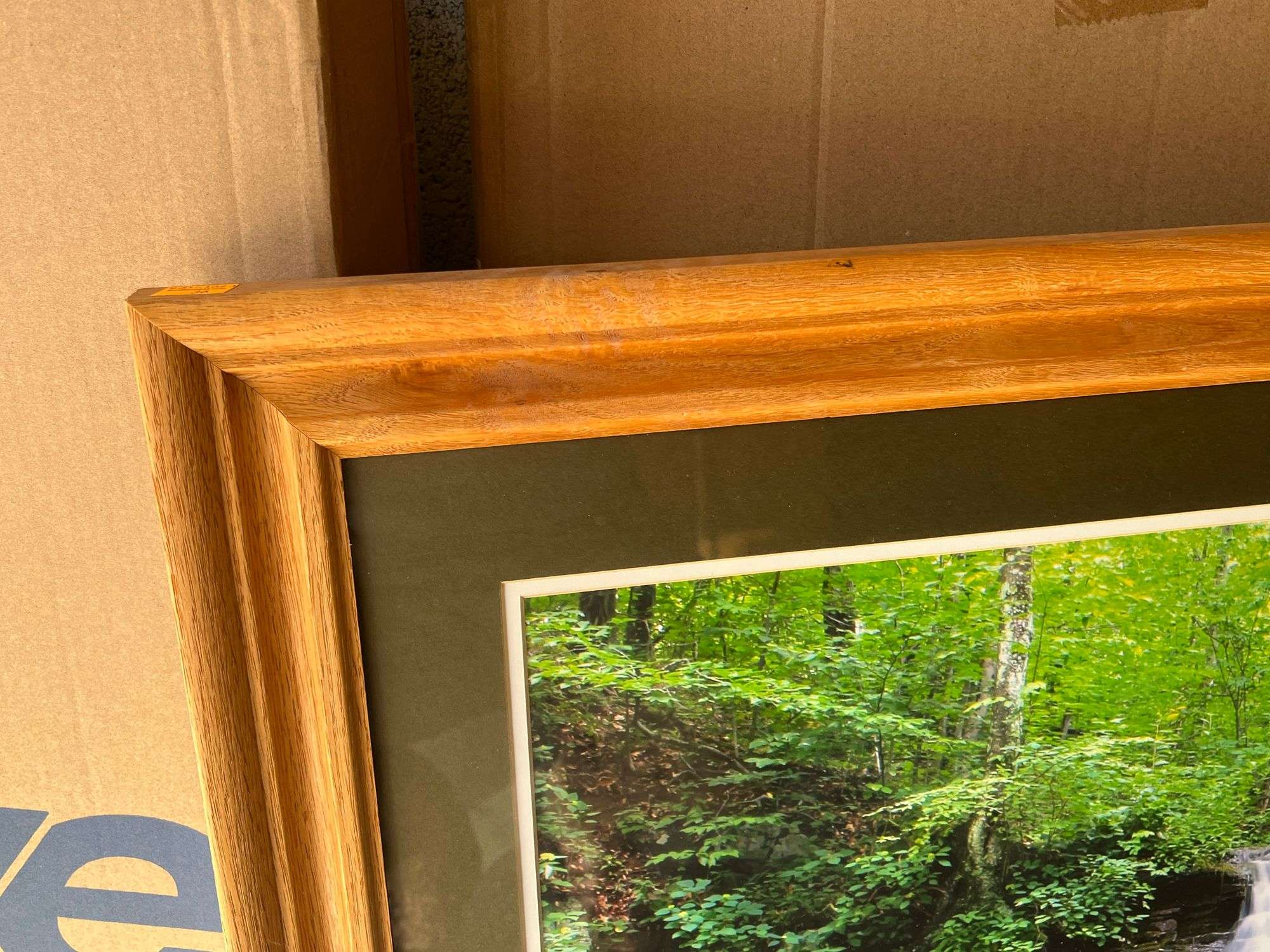 Oak Waterfall Print by Jerry Pastine