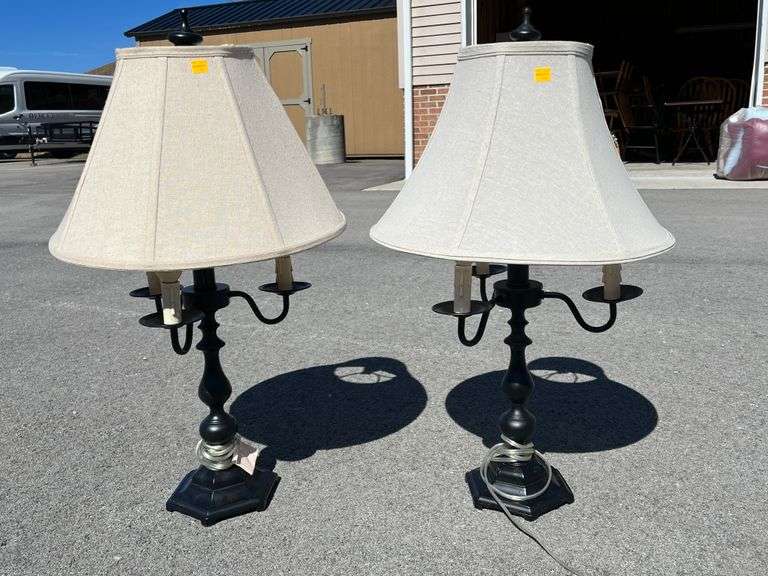 Two Electric Table Lamps