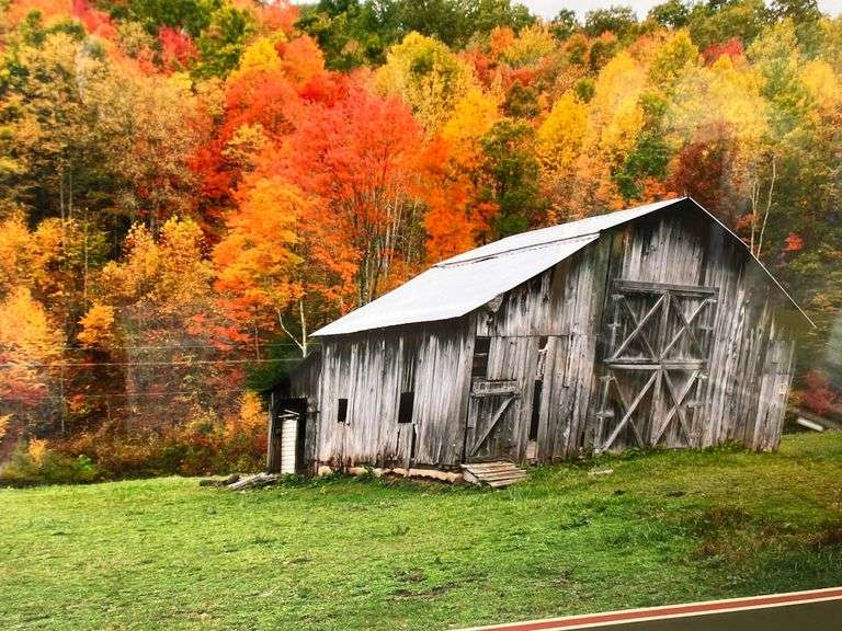Oak Fall Barn Print by Jerry Pastine