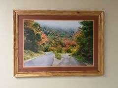 Oak Fall Print by Jerry Pastine