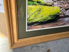 Oak Waterfall Print by Jerry Pastine