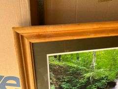 Oak Waterfall Print by Jerry Pastine