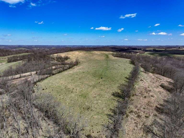 Absolute 444 Open & Wooded Acres Kaufman Realty & Auctions