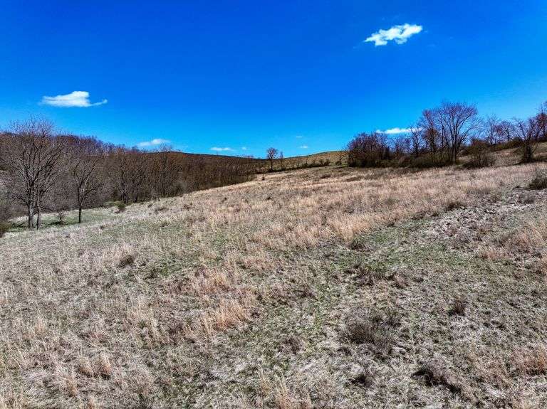 Absolute 444 Open & Wooded Acres Kaufman Realty & Auctions