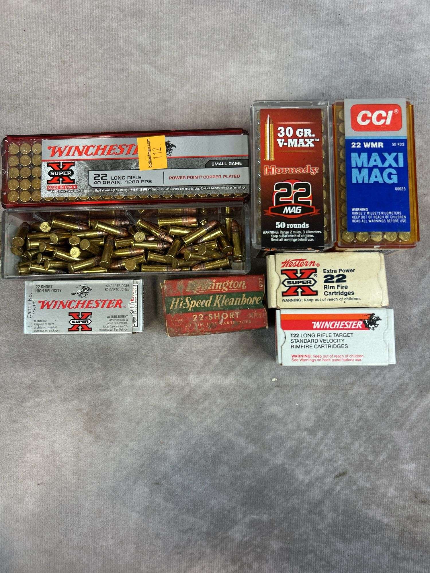 (320+) Rounds of .22 & .22 Mag