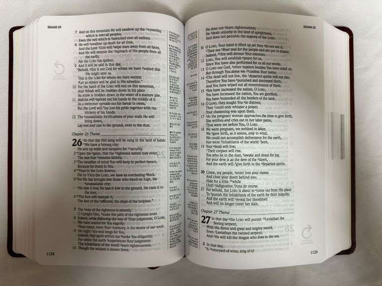 NASB The New Inductive Study Bible Burgundy Milano Softone