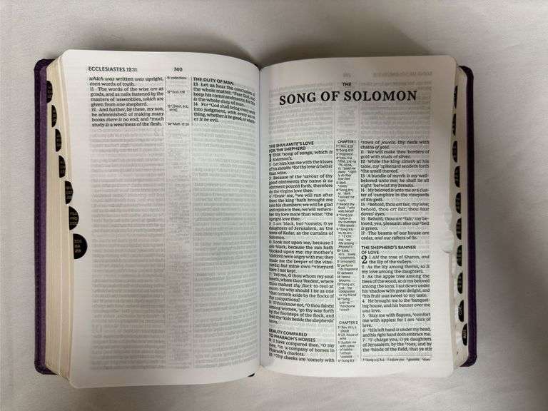 KJV Compact Center-Column Reference Bible Purple Leather Soft