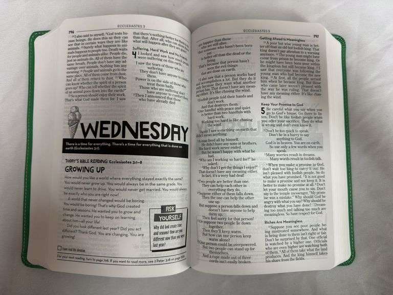 (2) Kids NIrV Devotional Bibles Lavender and Green Both Italian Duo Tone