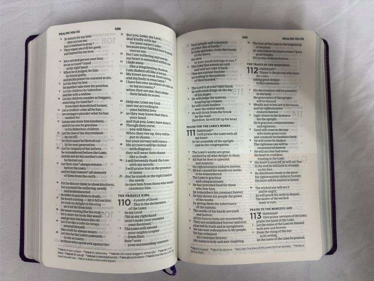 CSB Defend Your Faith Bible Plum Leathertouch