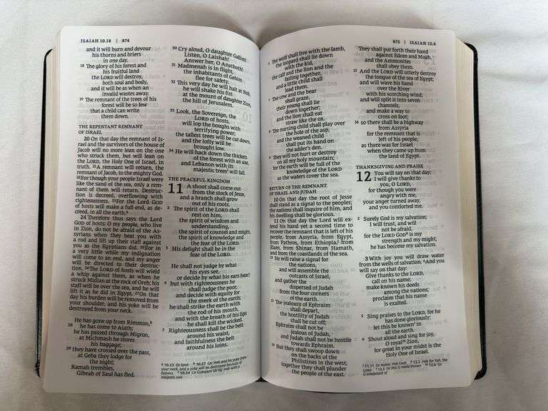 NRSV Catholic Bible Black Leather Soft