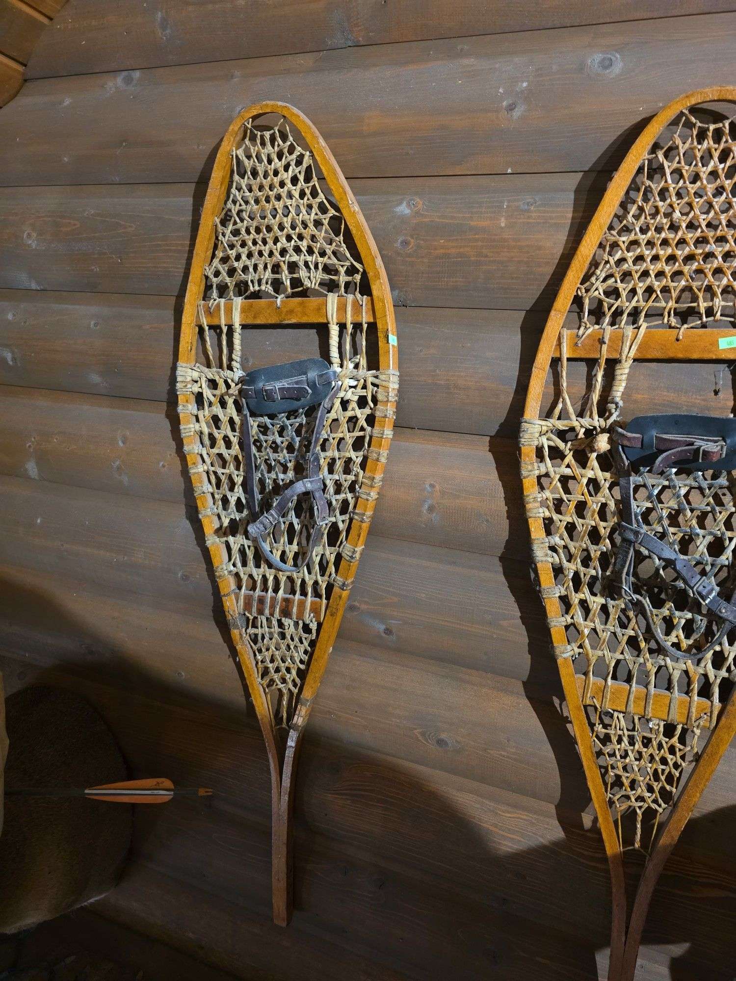 Pair of snow shoes