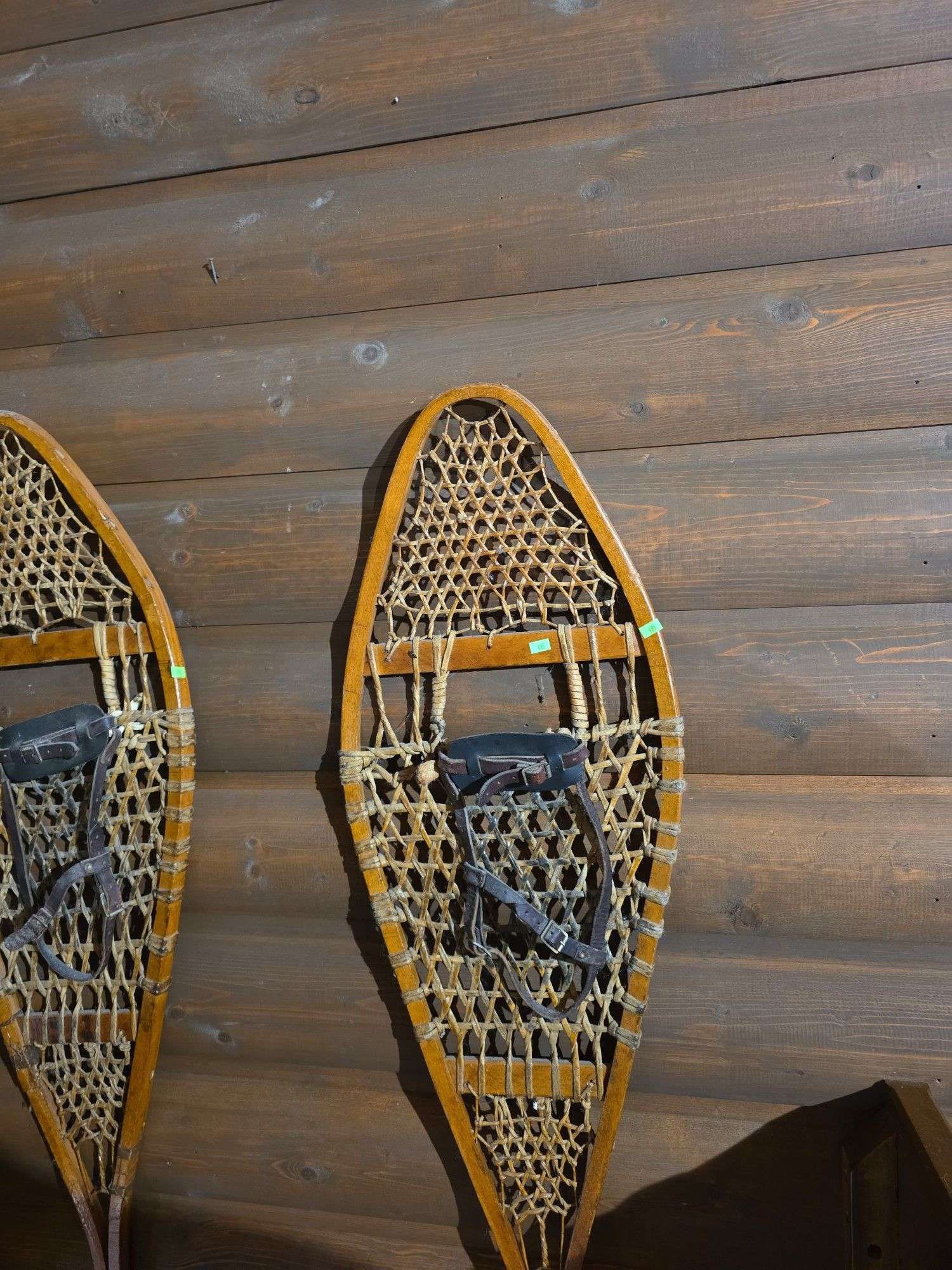 Pair of snow shoes
