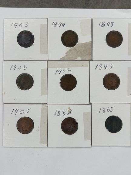 (9) Indian Head Pennies (1865-1906)