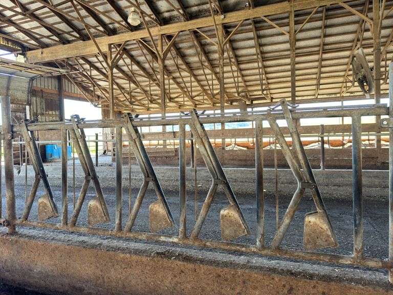 (5) Steinway Headlocks