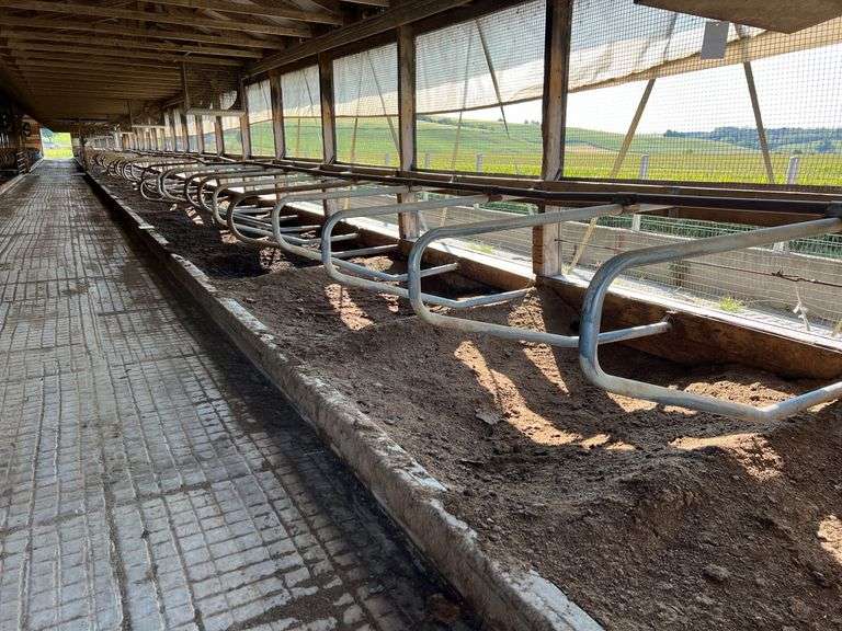 (32) Steinway Freestalls