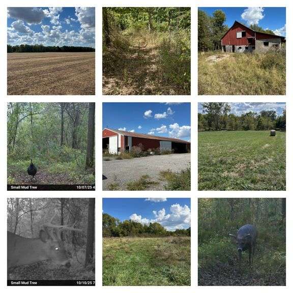 179.12 Acres in Hendricks ...