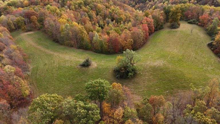 282 +/- Acres, Lewis County WV 