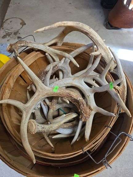Baskets & antlers