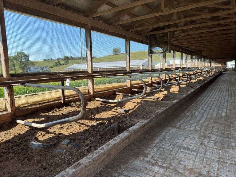 (30) Steinway Free Stall Loops