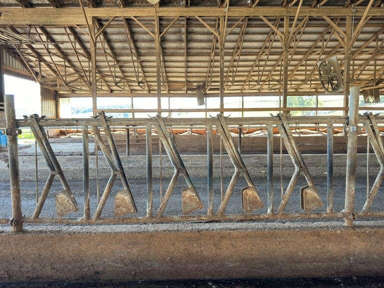 (5) Steinway Headlocks