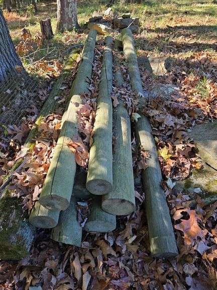 8 treated fence posts
