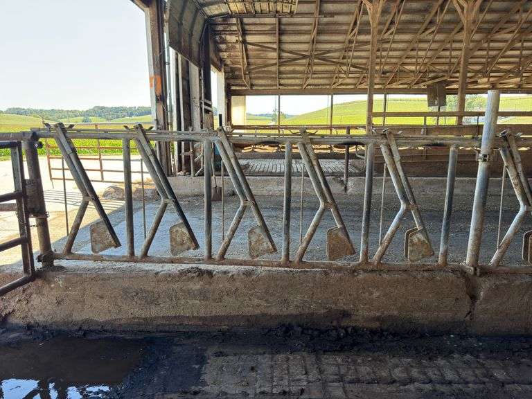 (5) Steinway Headlocks