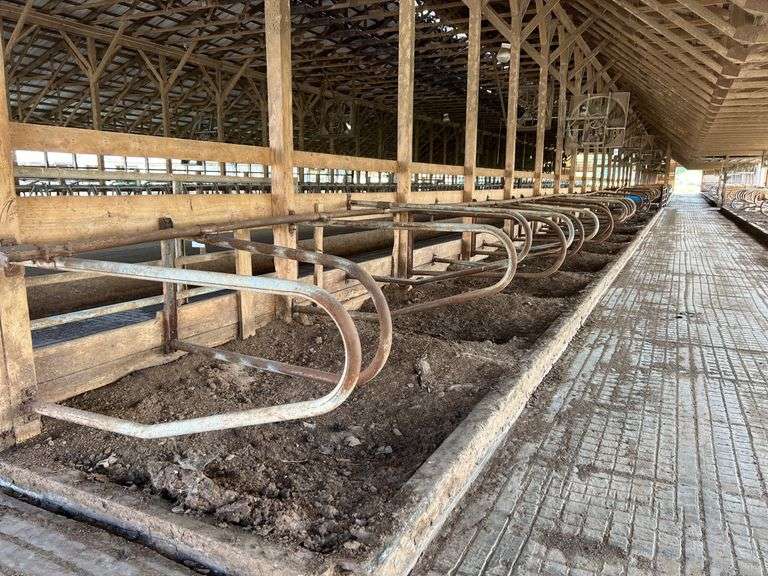 (27) Steinway Freestalls