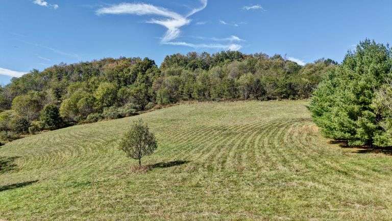 Absolute King 8 Acres Auct...