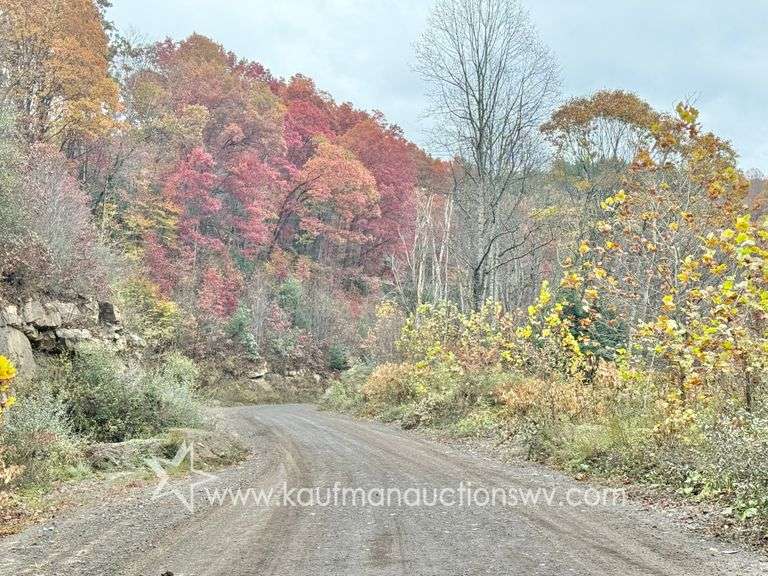 153 +/- Acre Mercer County, WV Land (WV)