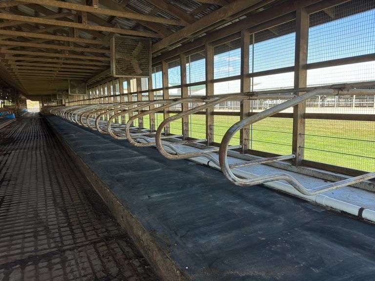 (35) Steinway free stall loops