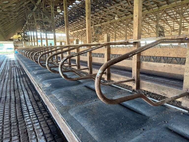 (30) Steinway free stall loops