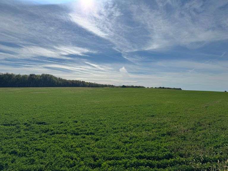 60 Acres Near Dundee/Stras...