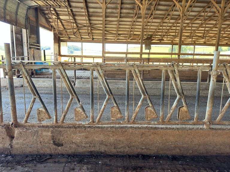 (5) Steinway Headlocks