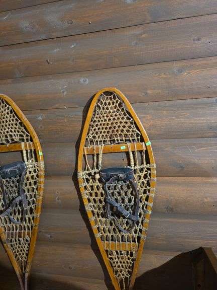 Pair of snow shoes