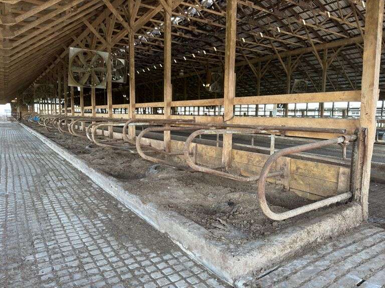 (30) Steinway Free Stalls