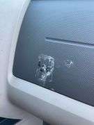 2010 Red Ford Escape SW