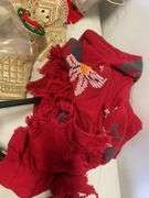 (2) boxes of Christmas items