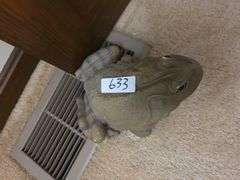 Frog Door Stop